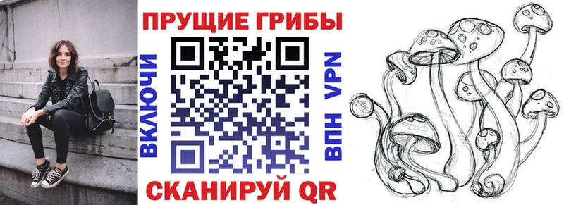 Псилоцибиновые грибы Psilocybe  дарнет шоп  ОМГ ОМГ ССЫЛКА  Сафоново 